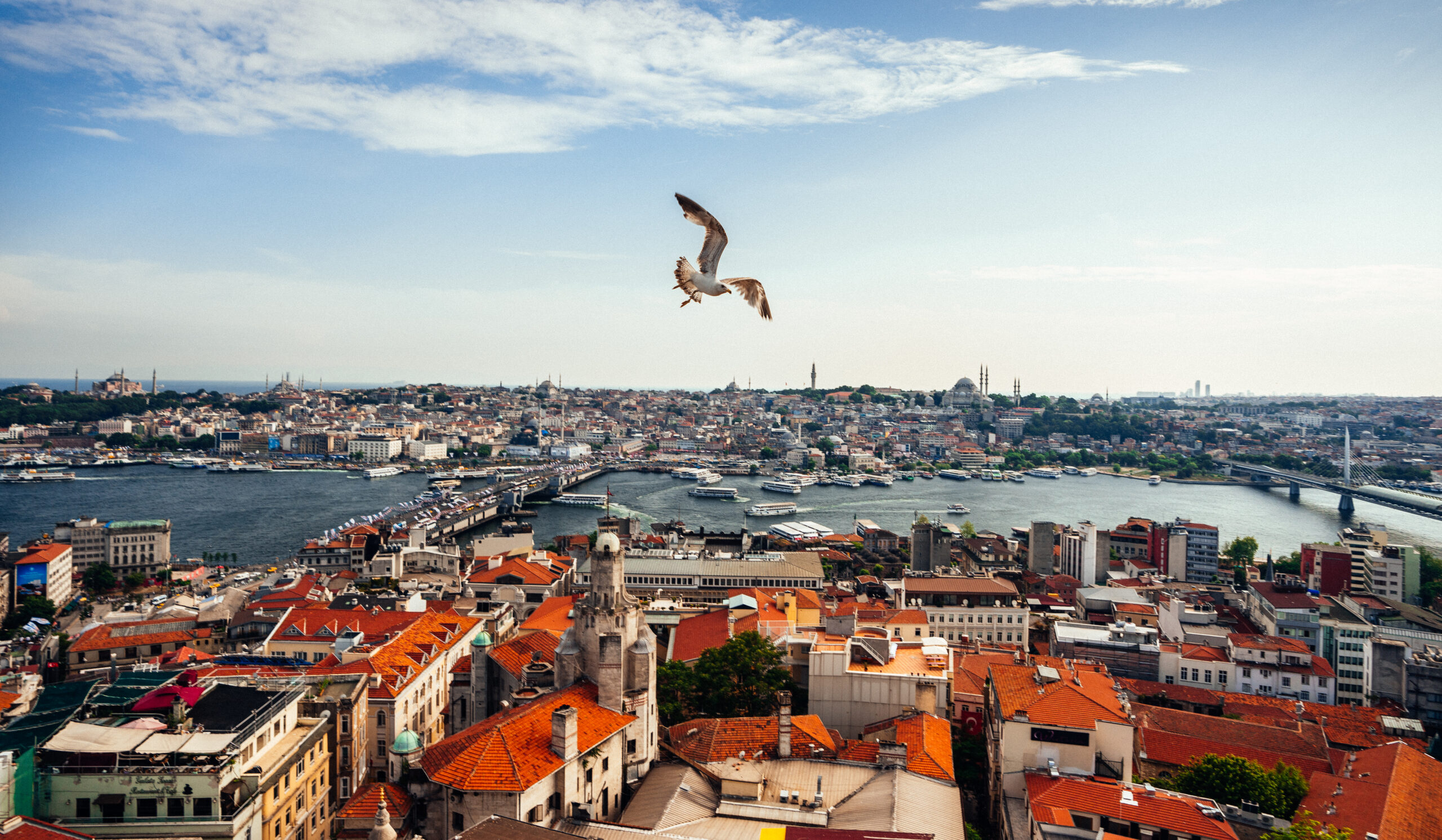 A shot of a scenic city view taken from the top of the tower in Istanbul city